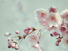LD2827LIC - Pastel Weeping Cherry Blossom II - 0