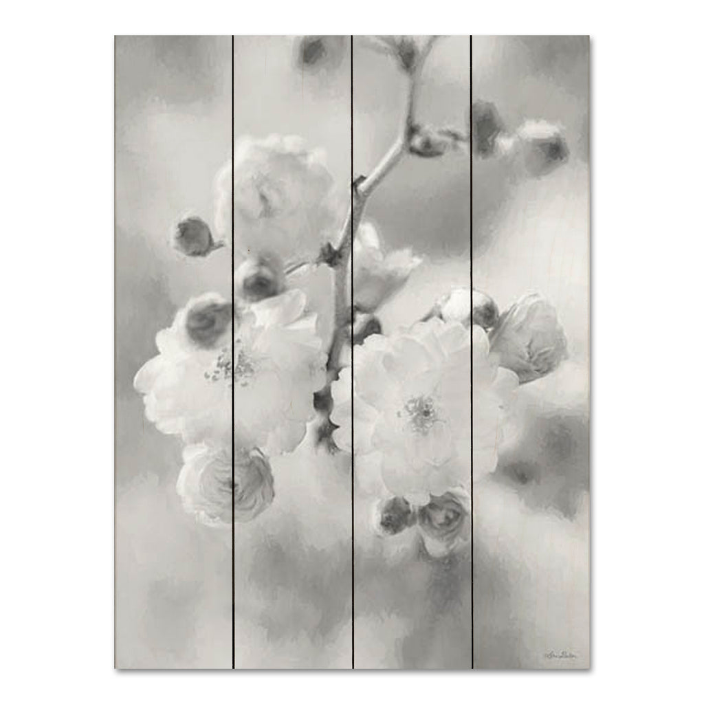 Lori Deiter LD2836PAL - LD2836PAL - Painted Blossoms I - 12x16 Flowers, Photography, Black & White, X-Ray Photography from Penny Lane