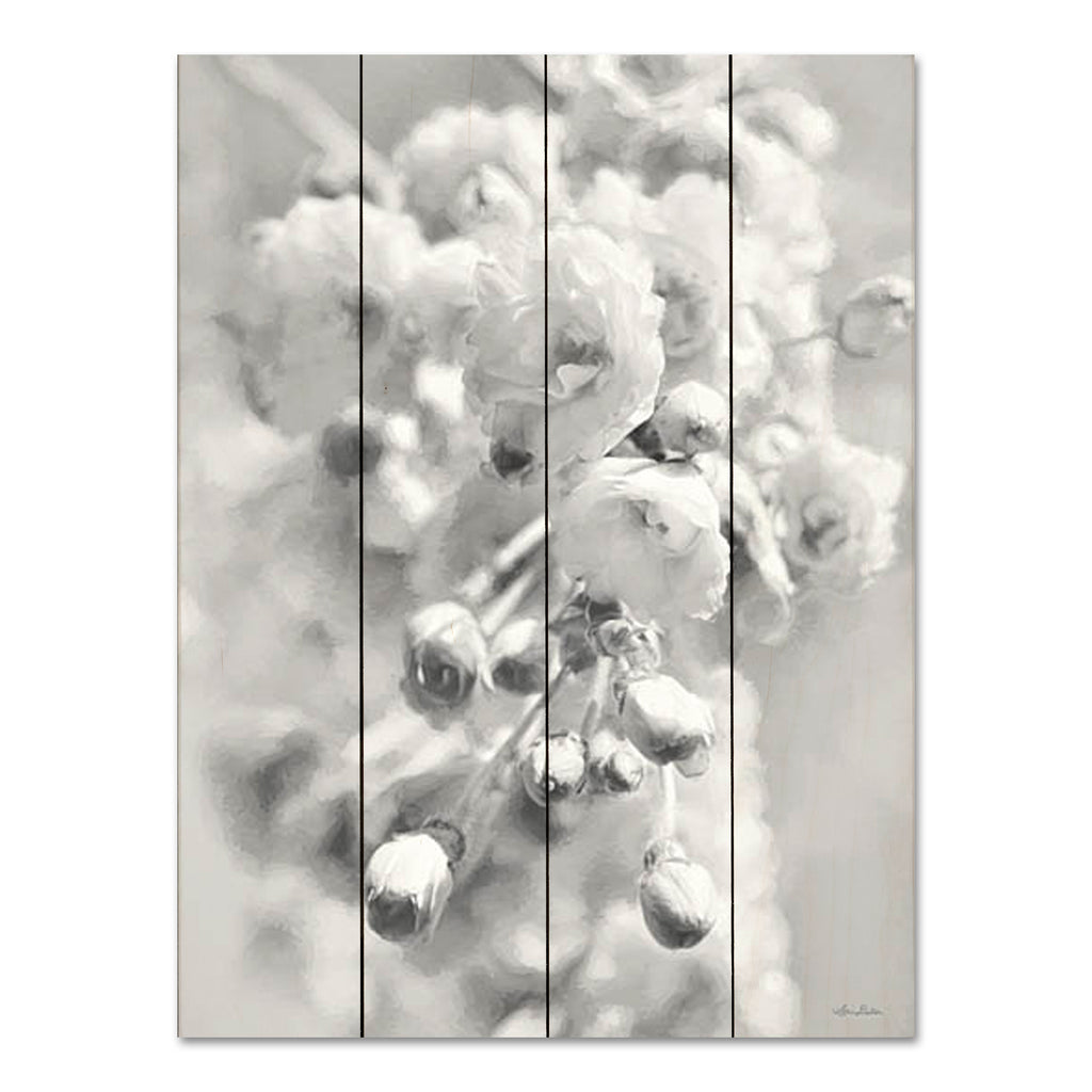 Lori Deiter LD2837PAL - LD2837PAL - Painted Blossoms II - 12x16 Flowers, Photography, Black & White, X-Ray Photography from Penny Lane