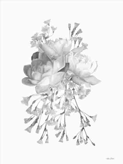 Lori Deiter LD2838 - LD2838 - Blossoms and Roses I - 12x16 Roses, Blossoms, Flowers, Black & White, Blooms from Penny Lane