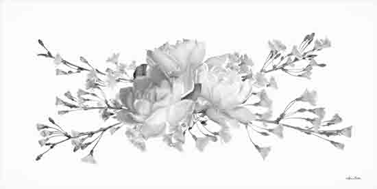 Lori Deiter LD2839 - LD2839 - Blossoms and Roses II - 18x9 Roses, Blossoms, Flowers, Black & White, Blooms from Penny Lane