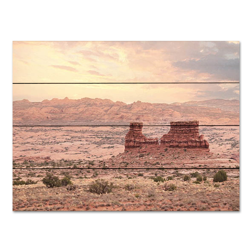 Lori Deiter LD2846PAL - LD2846PAL - Dusty Desert II - 16x12 Desert, Landscape, Photography from Penny Lane