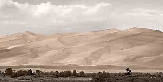 Lori Deiter LD2853 - LD2853 - The Great Sand Dunes - 18x9 Sand Dunes, Sand, Photography, Landscape from Penny Lane