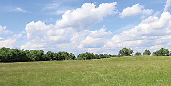 Lori Deiter LD2874 - LD2874 - Summer Fields - 18x9 Landscape, Fields, Trees, Clouds, Photography, Meadow, Summer from Penny Lane