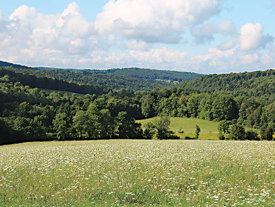 Lori Deiter LD2875 - LD2875 - Rural Rolling Hills in Summer - 16x12 Photography, Landscape, Hills, Rolling Hills, Trees, Wildflowers, Sky, Clouds, Summer, Green from Penny Lane