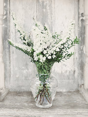 LD2888 - Bridal Veil Flowers - 12x16