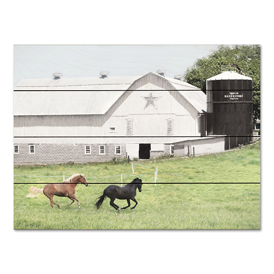 Lori Deiter LD2890PAL - LD2890PAL - Afternoon Run on the Farm - 16x12 Barn, Farm, Horses, Field, Photography, Landscape, Country from Penny Lane