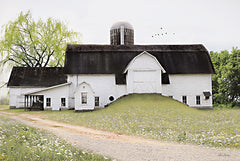 LD2894 - Big Country Barn - 18x12