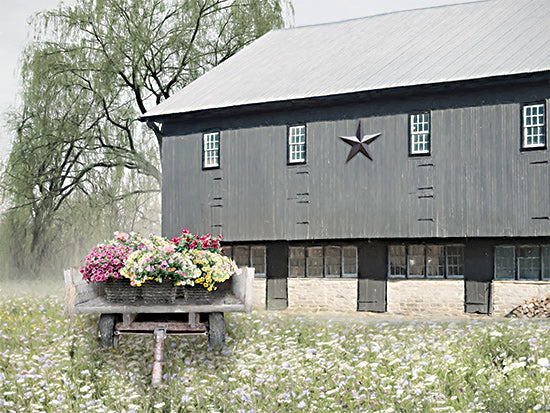 Lori Deiter LD2904 - LD2904 - Living Easy - 16x12 Barn, Farm, Wagon, Flowers, Wildflowers, Barn Star, Photography from Penny Lane