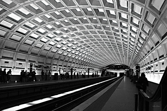 Lori Deiter LD2907 - LD2907 - DC Metro - 18x12 Photography, Washington DC Metro, Transit Service, Metrobus, Black & White, Transportation from Penny Lane