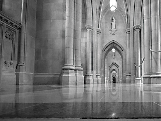 Lori Deiter LD2908 - LD2908 - National Cathedral - 16x12 National Cathedral, Washington, DC, Cathedral, Church, Photography, Black & White from Penny Lane