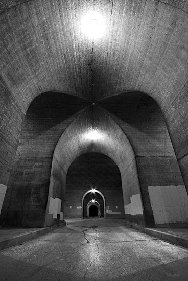 Lori Deiter LD2909 - LD2909 - Beneath the State Street Bridge - 12x18 Photography, Bridge, Black & White from Penny Lane