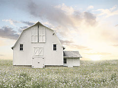LD2912 - White Summer Barn - 16x12
