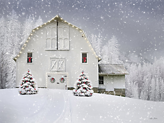 Lori Deiter LD2917 - LD2917 - Joy to One and All - 16x12 Farm, Barn, Farmhouse/Country, White Barn, Winter, Snow, Photography, Christmas, Holidays from Penny Lane