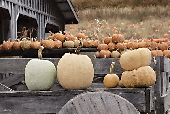 Lori Deiter LD2962 - LD2962 - Autumn Pumpkin Harvest - 18x12 Photography, Pumpkins, Fall, Pumpkin Patch, Farm, Wagon, Barn from Penny Lane