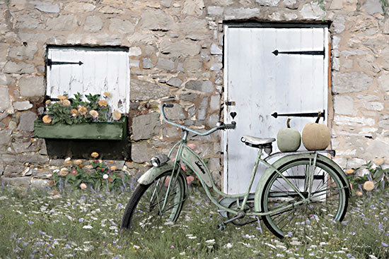 Lori Deiter LD2967 - LD2967 - Pumpkin Spice Bike - 18x12 Fall, Still Life, Bicycle, Green Bicycle, Pumpkins, Stone Building, Flowers, Peach Flowers, Queen Anne's Lace, Flowers Box, Photography from Penny Lane