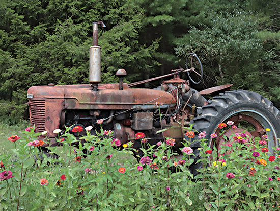Lori Deiter LD2981 - LD2981 - Hidden Gem - 16x12 Photography, Tractor, Farm, Wildflowers, Vintage from Penny Lane