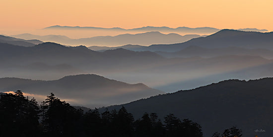 Lori Deiter LD3004 - LD3004 - Clingman's at Daybreak - 18x9 Landscape, Mountains, Morning, Morning Sun, Trees, Photography from Penny Lane