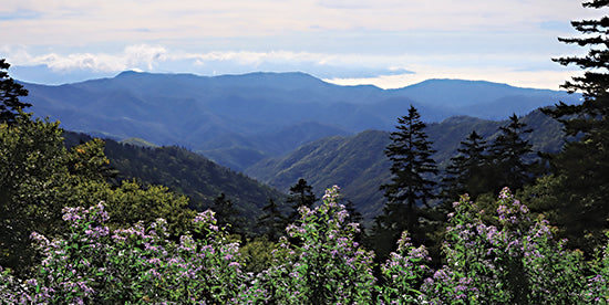 Lori Deiter LD3008 - LD3008 - Scenic Mountain View - 18x9 Photography, Landscape, Mountains, Trees, Flowers, Purple Flowers, Nature from Penny Lane