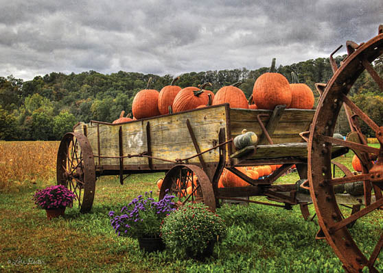 Lori Deiter LD302B - Pumpkin Wagon - Wagon, Pumpkins, Flowers, Farm from Penny Lane Publishing