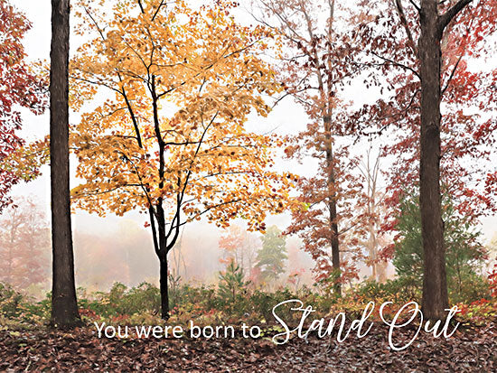 Lori Deiter LD3046 - LD3046 - You Were Born to Stand Out - 16x12 Inspirational, You Were Born to Stand Out, Motivational, Typography, Signs, Fall from Penny Lane