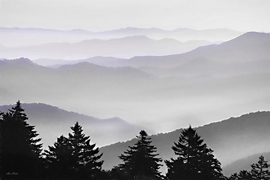 Lori Deiter LD3054 - LD3054 - Elegant Layers I - 18x12 Photography, Landscape, Mountains, Trees, Pine Trees from Penny Lane