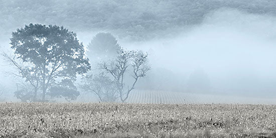 Lori Deiter LD3065 - LD3065 - Blue Misty Morning - 18x9 Landscape, Trees, Field, Morning, Nature, Photography from Penny Lane