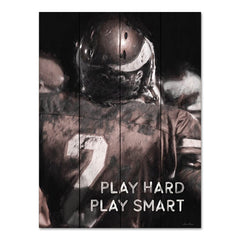 LD3085PAL - Play Hard, Play Smart - 12x16