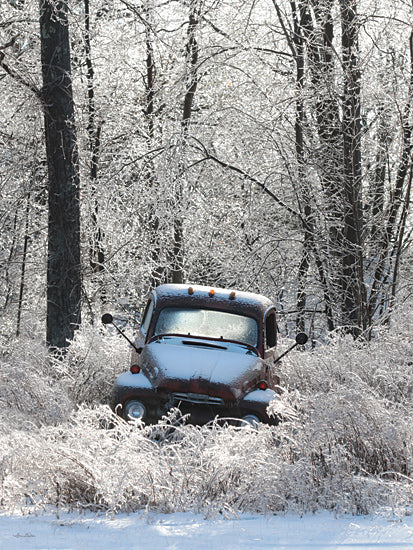 Lori Deiter LD3111 - LD3111 - Vintage Icy Ford - 12x16 Truck, Blue Truck, Ford, Winter, Forest, Woods, Photography, Ice, Trees, Pond, Landscape from Penny Lane