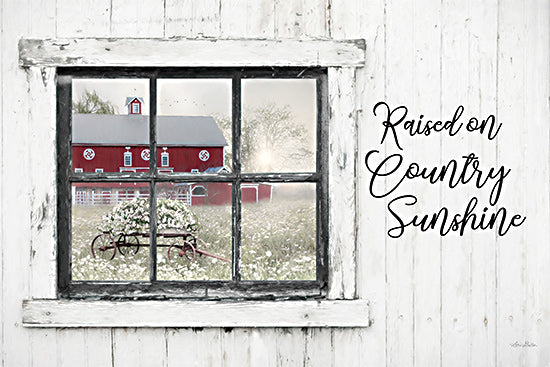 Lori Deiter LD3124 - LD3124 - Raised on Country Sunshine - 18x12 Inspirational, Raised on Country Sunshine, Typography, Signs, Textual Art, Window, Photography, Wagon, Flowers, White Flowers, Barn, Red Barn, Farmhouse/Country from Penny Lane