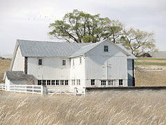 LD3146 - White Summer Barn - 16x12