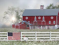 LD3166 - Patriotic Farm - 16x12