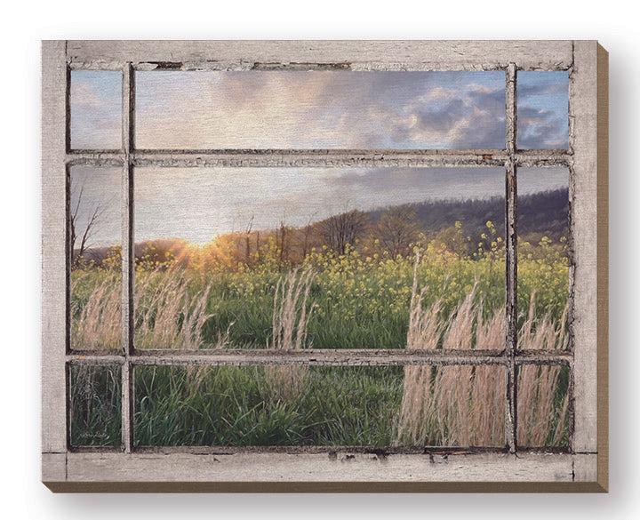 Lori Deiter LD3177FW - LD3177FW - Country Sunset - 20x16 Landscape, Wildflowers, Country, Window Pane, Photography, Nature from Penny Lane