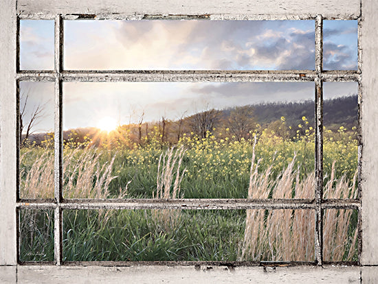 Lori Deiter LD3177 - LD3177 - Country Sunset - 16x12 Photography, Landscape, Wildflowers, Grass, Clouds, Window from Penny Lane
