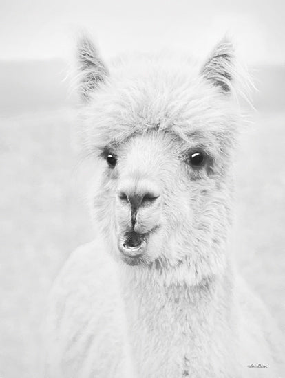 Lori Deiter LD3181 - LD3181 - Clover the Alpaca - 12x16 Alpaca, White Alpaca, Farm Animal, Photography, Portrait from Penny Lane