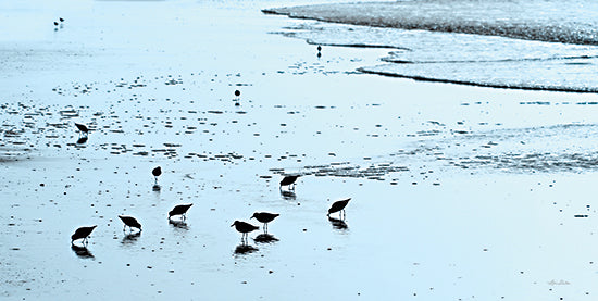 Lori Deiter LD3183 - LD3183 - Blue Sandpipers - 18x9 Coastal, Birds, Sandpipers, Photography, Ocean, Landscape from Penny Lane