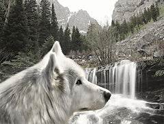LD3185 - Wolf Waterfall Visit - 16x12