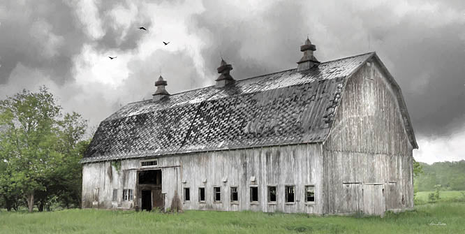 Lori Deiter LD3191 - LD3191 - Storm Brewing - 18x9 Photography, Barn, White Barn, Farm, Landscape, Black Clouds, Strom Brewing, Weather from Penny Lane