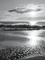 LD3199 - Beach Sunrise - 12x16