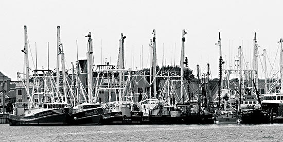 Lori Deiter LD3204 - LD3204 - Ocean City Fishing Boats - 18x9 Photography, Boats, Fishing Boats, Ocean City, Black & White, Landscape, Masculine from Penny Lane