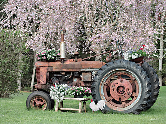 Lori Deiter LD3237 - LD3237 - Rooster in the Spring - 16x12 Photography, Still Life, Tractor, Farm, Vintage, Rooster, Flowers, Tree, Pink Blooms from Penny Lane