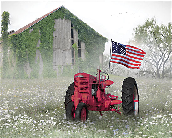 Lori Deiter LD3240 - LD3240 - Red Patriotic Tractor - 16x12 Photography, Farm, Barn, Tractor, Patriotic, American Flag, Wildflowers, Landscape from Penny Lane