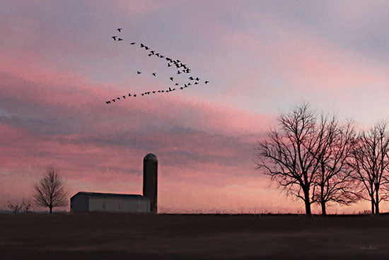 Lori Deiter LD3243 - LD3243 - Spring Migration of Snow Geese - 18x12 Photography, Farm, Barn, Trees, Geese, Migration of Snow Geese, Sunset, Red Sky, Landscape from Penny Lane