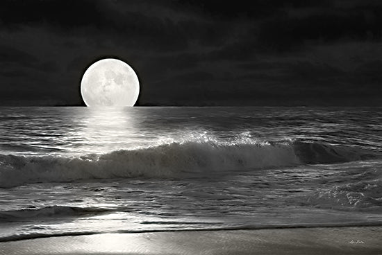 Lori Deiter LD3267 - LD3267 - Dewey Beach by Moonlight - 18x12 Coastal, Ocean, Moon, Photography, Black & White, Waves, Night, Moonlight from Penny Lane