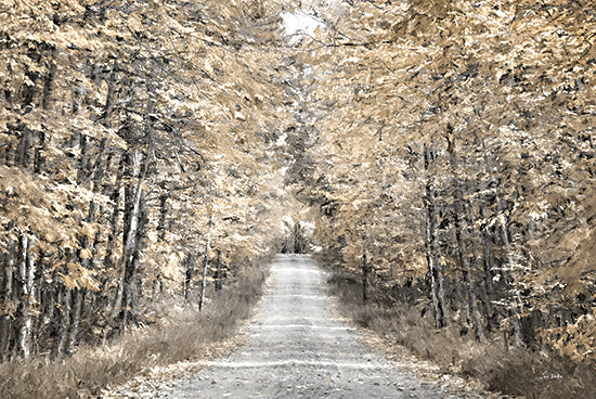 Lori Deiter LD3338 - LD3338 - The Golden Road   - 18x12 Photography, Road, Path, Trees, Fall, Leaves, Forest, Landscape from Penny Lane