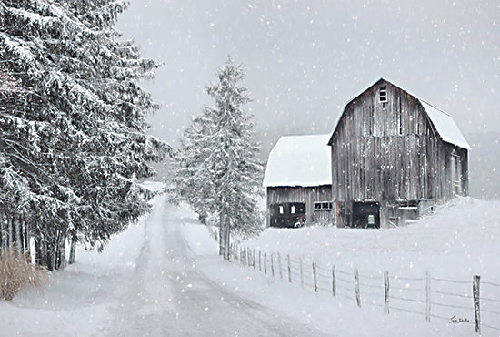 Lori Deiter LD3369 - LD3369 - Winter Peace in the Country - 18x12 Winter, Barn, Farm, Gray Barn, Road, Paths, Photography, Trees, Pine Trees,  Snow, Landscape, Fence from Penny Lane