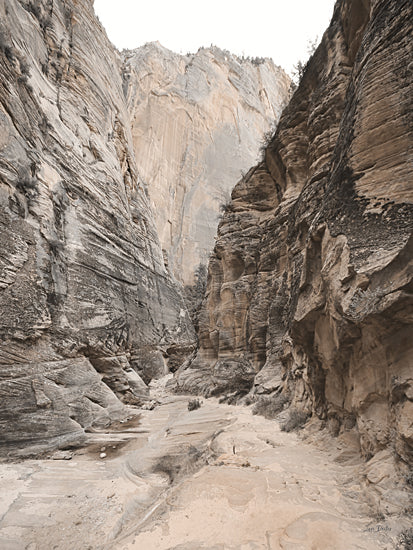 Lori Deiter LD3388 - LD3388 - Rocky Wonders I - 12x16 Photography, Landscape, Mountains, Rocky Mountains, Path from Penny Lane