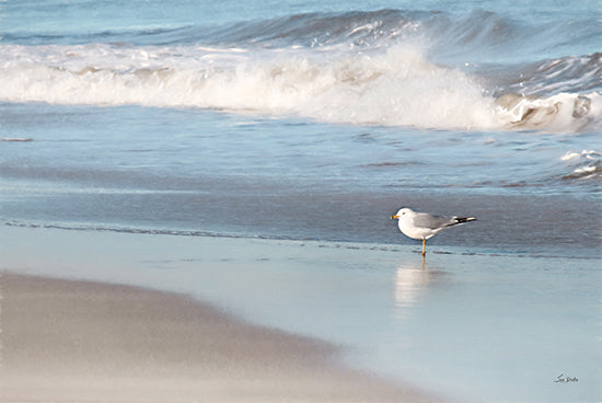 Lori Deiter LD3417 - LD3417 - Seagull in the Sand - 18x12 Photography, Landscape, Ocean, Waves, Bird, Seagull, Beach, Sand, Crashing Waves from Penny Lane