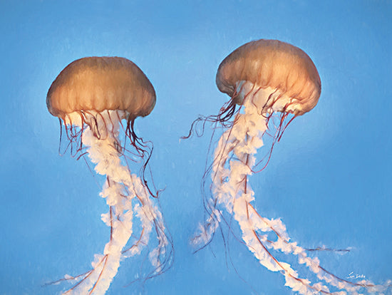 Lori Deiter LD3442 - LD3442 - Jellyfish Dance I - 16x12 Photography, Coastal, Jellyfish, Aquatic Animals, Ocean from Penny Lane