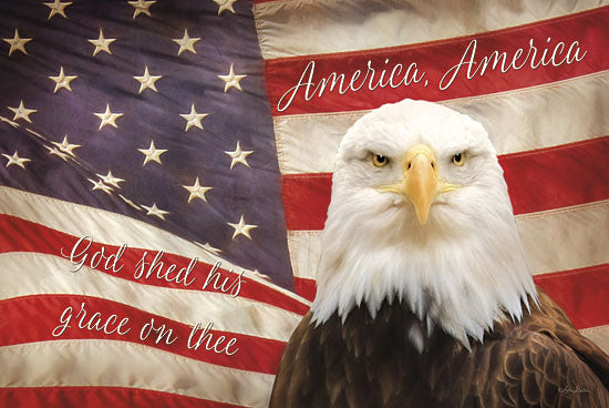 Lori Deiter LD711 - American Eagle Flag - Eagle, American Flag, Patriotic from Penny Lane Publishing